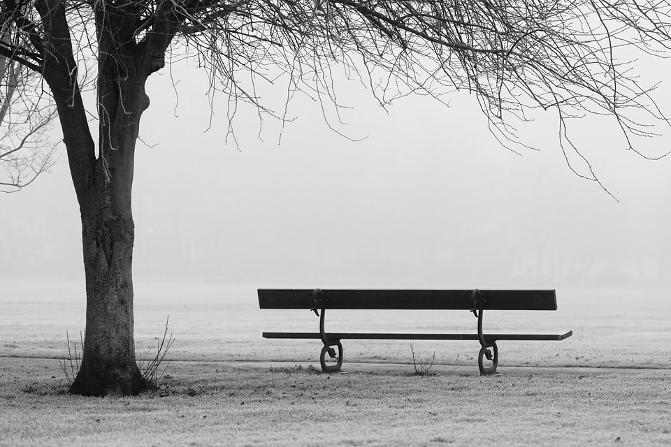 Fog foggy landscape