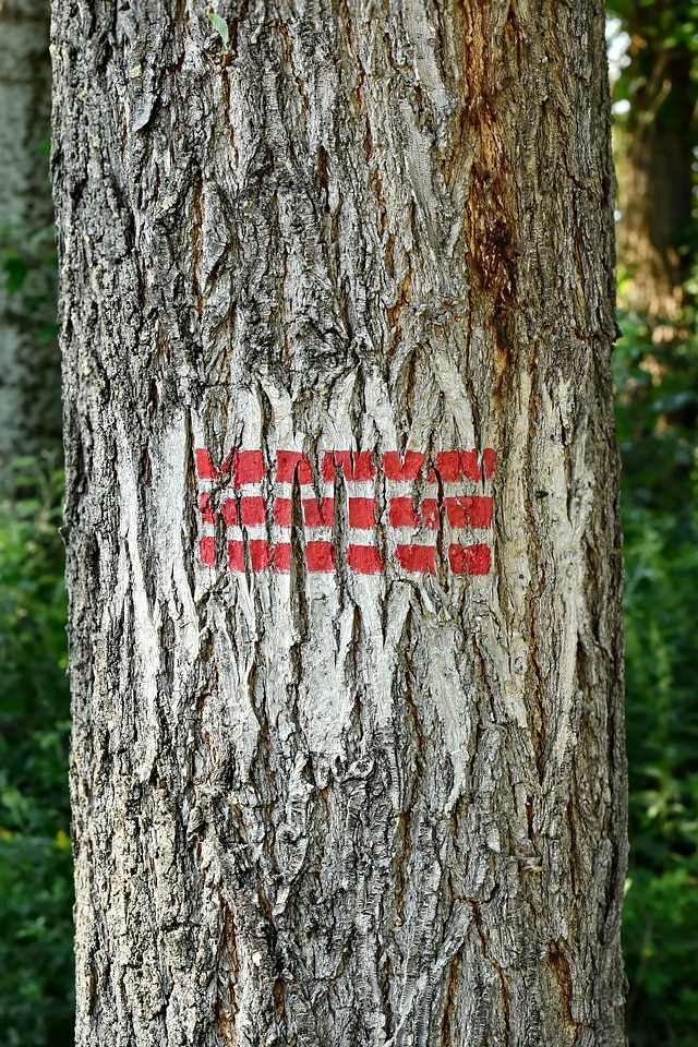 Mark marker marking