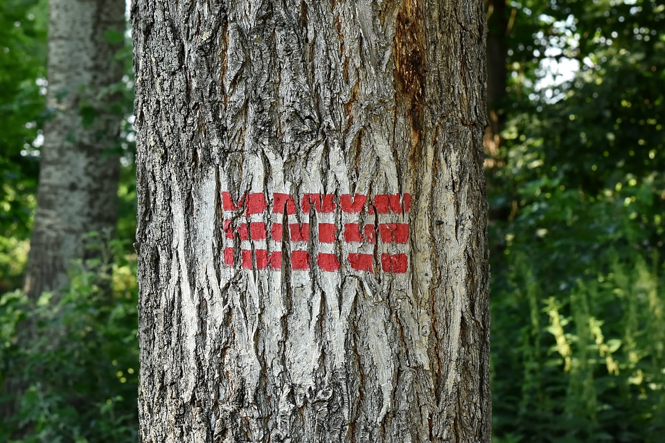 Cortex painkiller sign