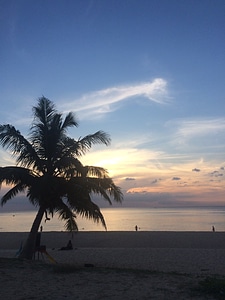 Beach blue sky coconut photo