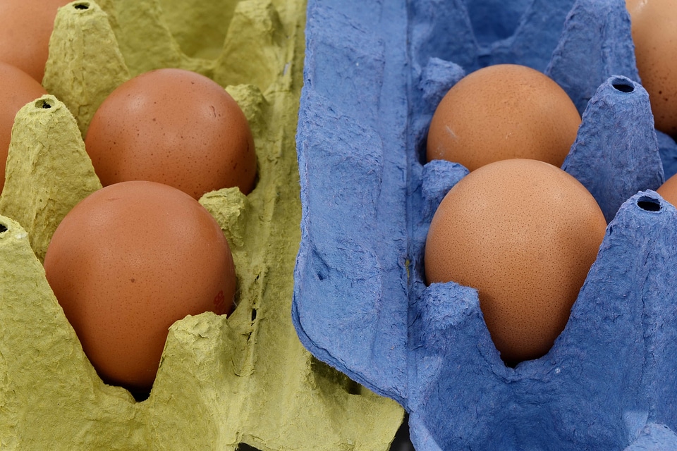 Box carton egg box