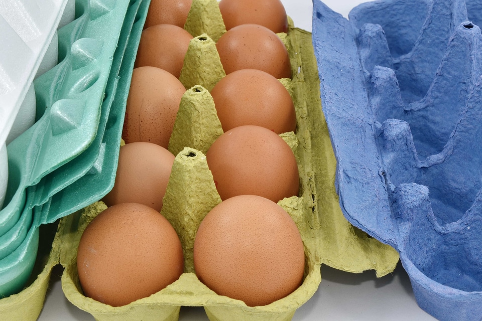 Cardboard egg egg box