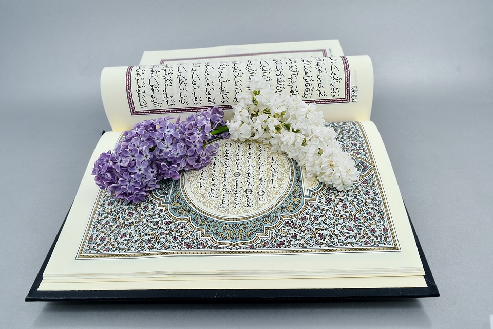 Beautiful Flowers Islam lilac
