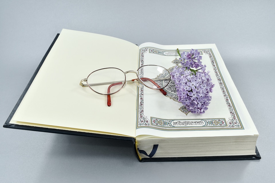 Book eyeglasses illustration