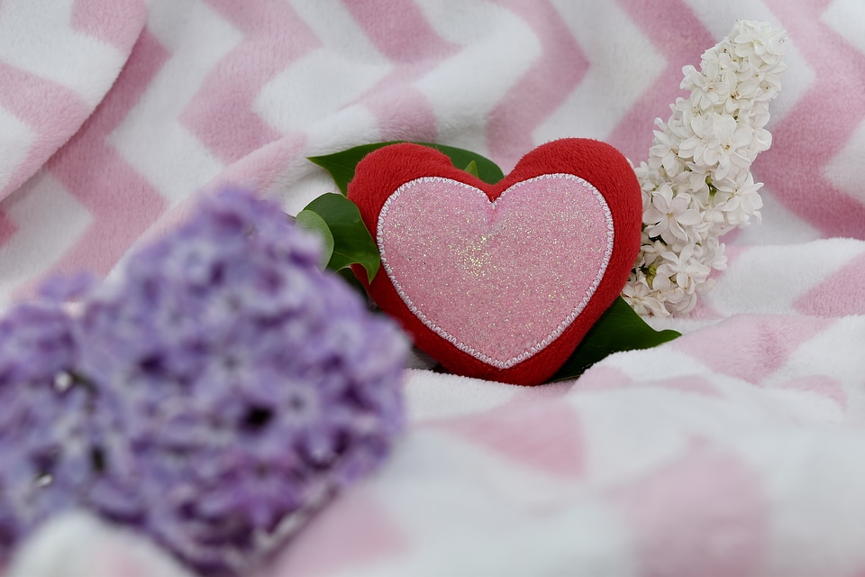 Affection lilac love