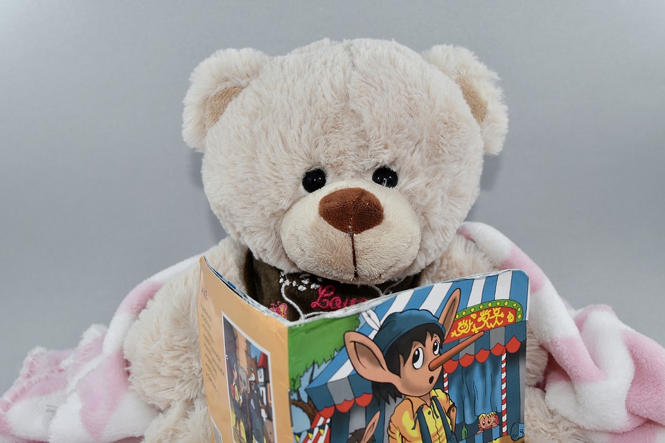 Book reading teddy bear toy
