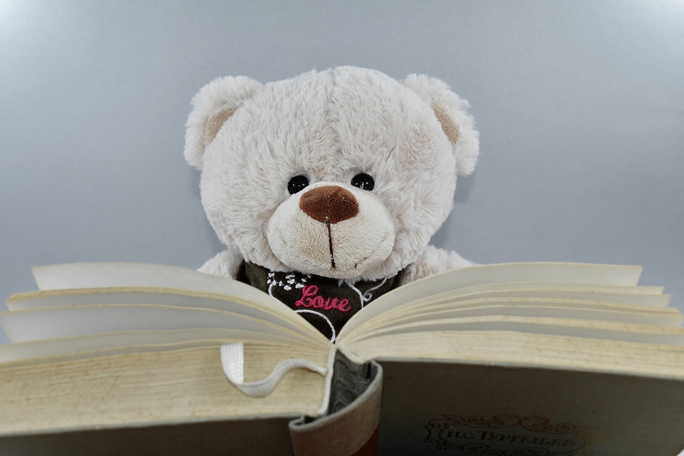 Book knowledge literacy