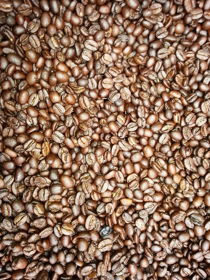 Africa farming fresh grounds