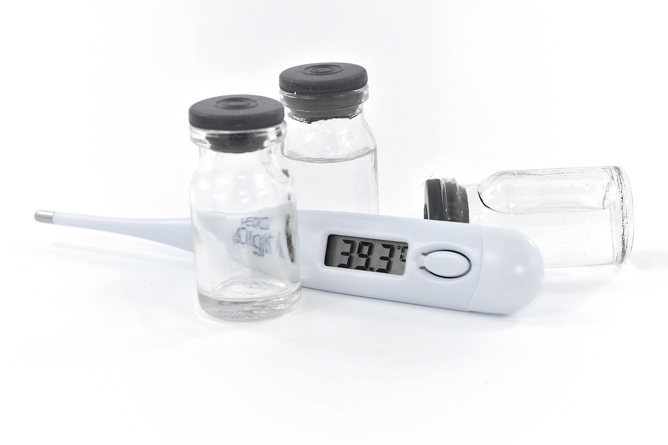 Antibacterial antibiotic antibody
