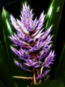 Plant fractal abstract