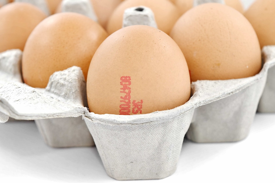 Cardboard carton egg