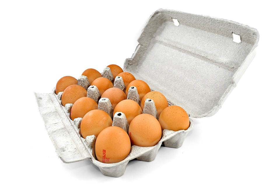 Egg egg box egg white