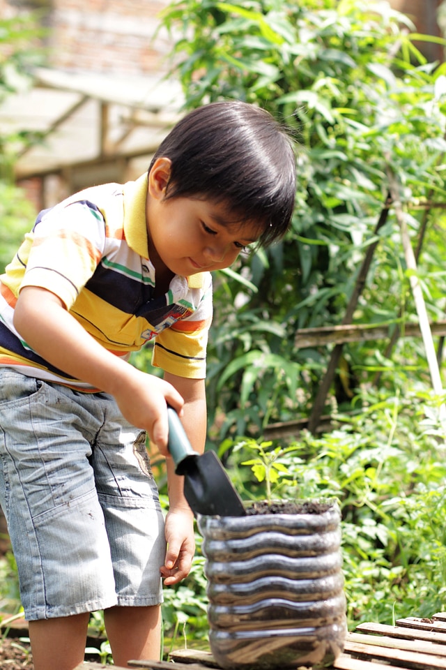 Gardening growing plant