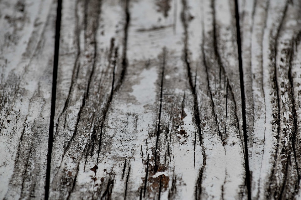 Black And White monochrome paint