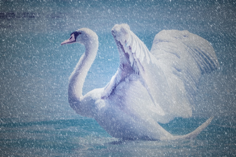 Water snowing snowflakes