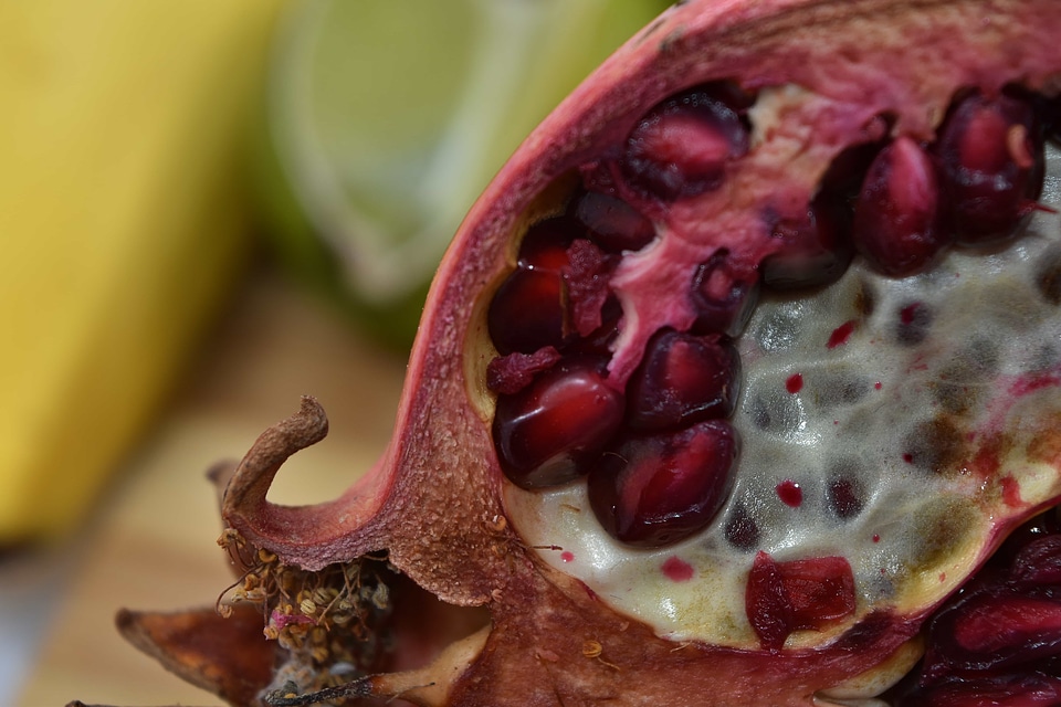 Close-Up kernel pomegranate