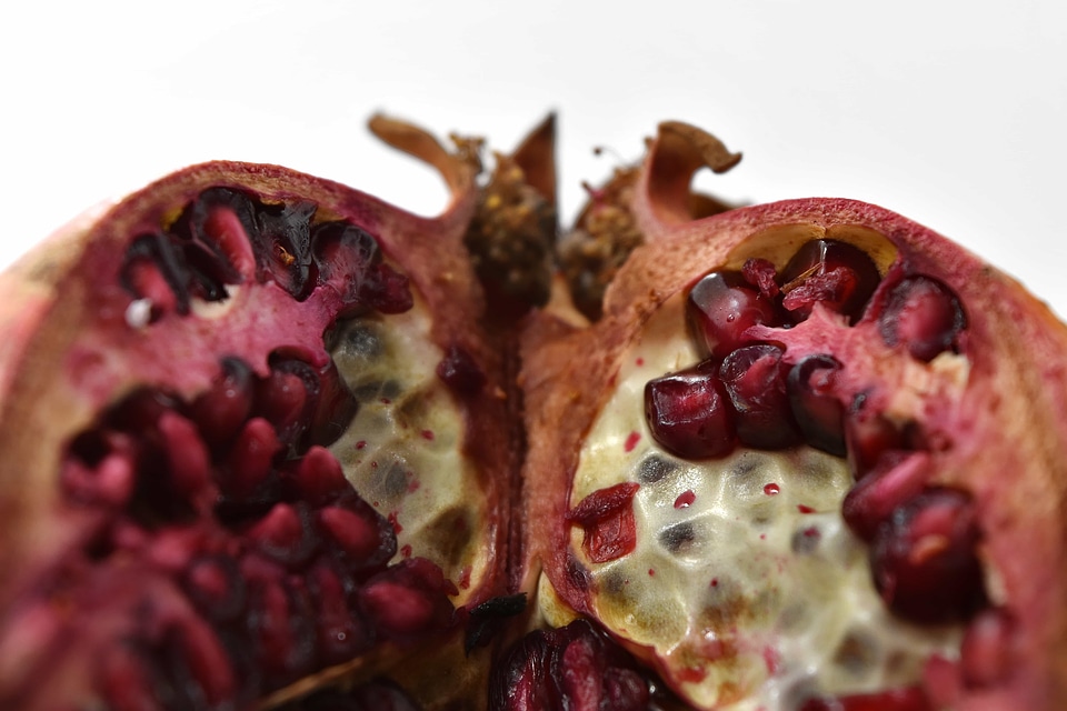 Cross Section macro seed