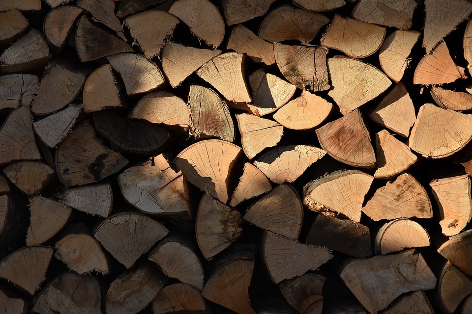 Firewood texture wood