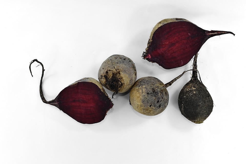 Agriculture beetroot half