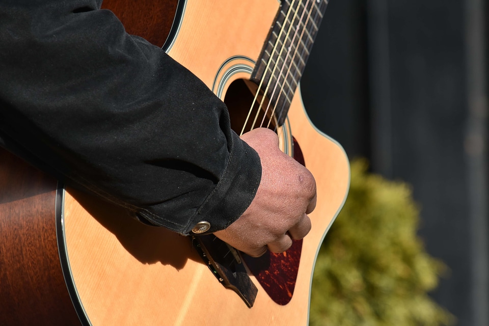 Acoustic entertainer musician photo