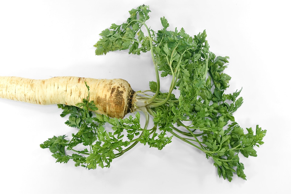 Groceries organic parsley