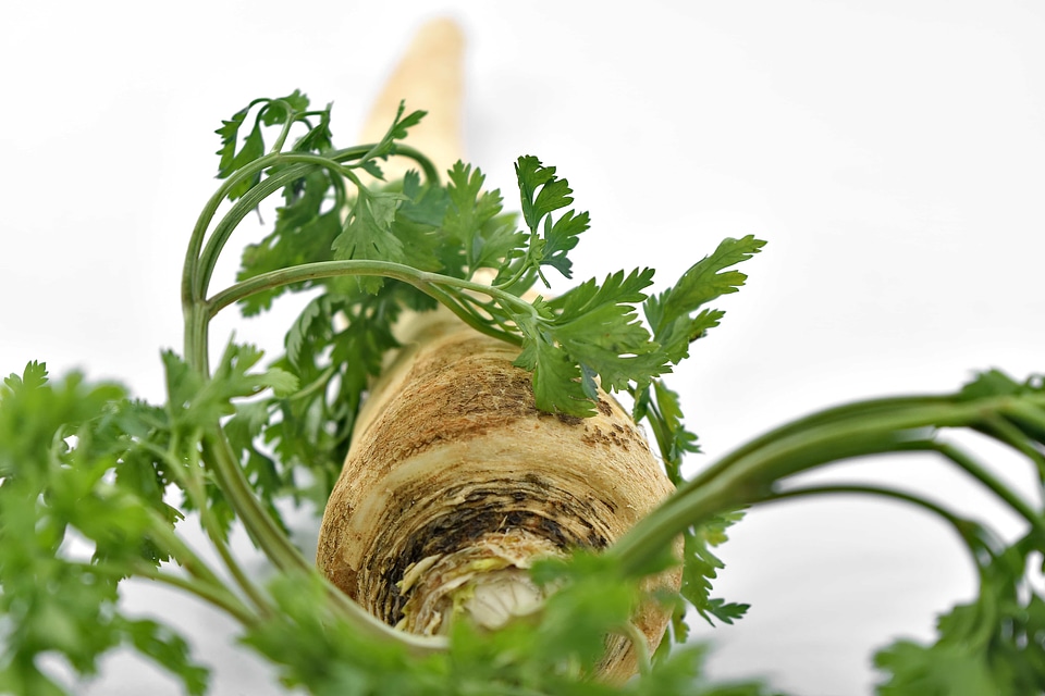 Diet food minerals