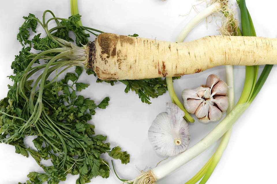 Aromatic garlic green leaves