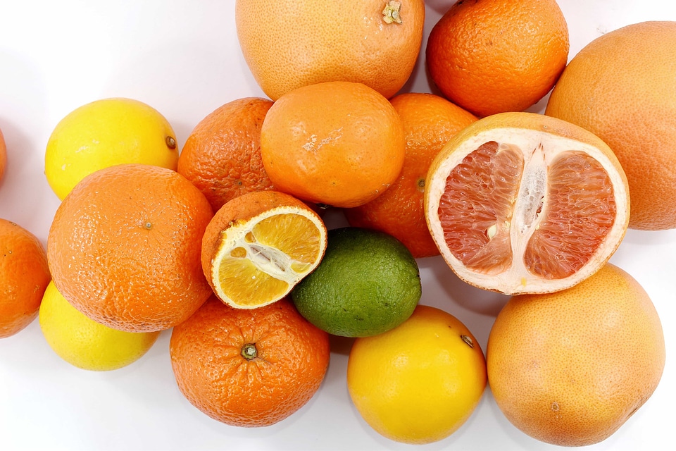 Cross Section grapefruit lime