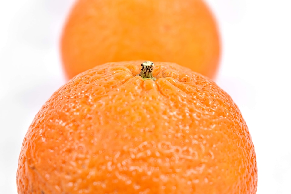 Close-Up orange peel oranges