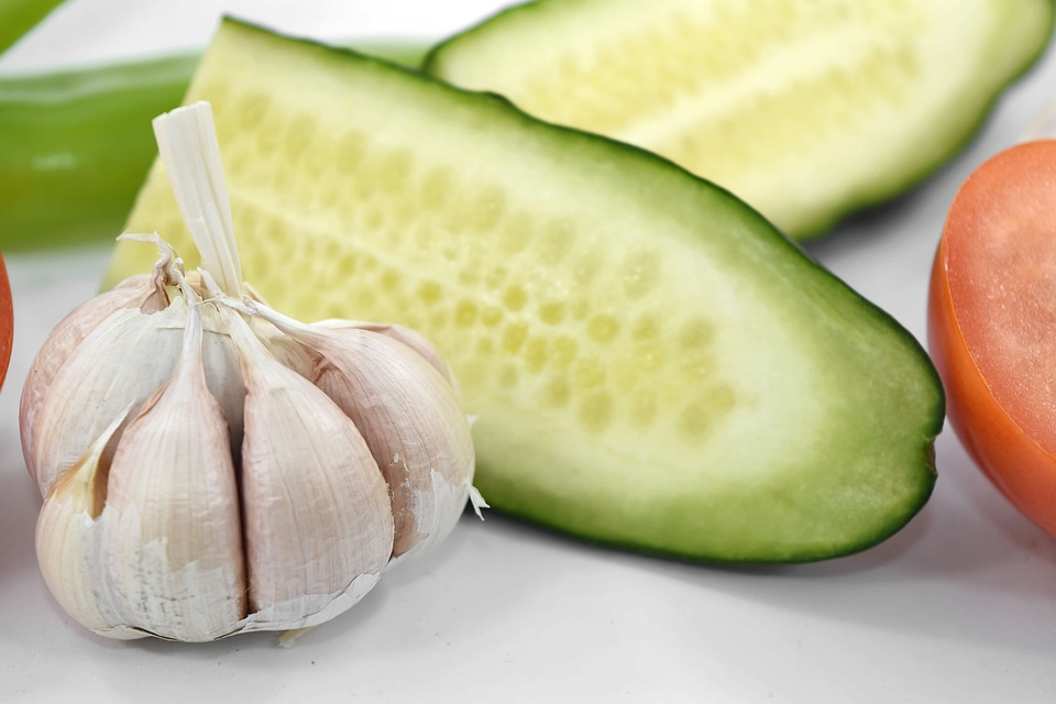 Cross Section cucumber dietary
