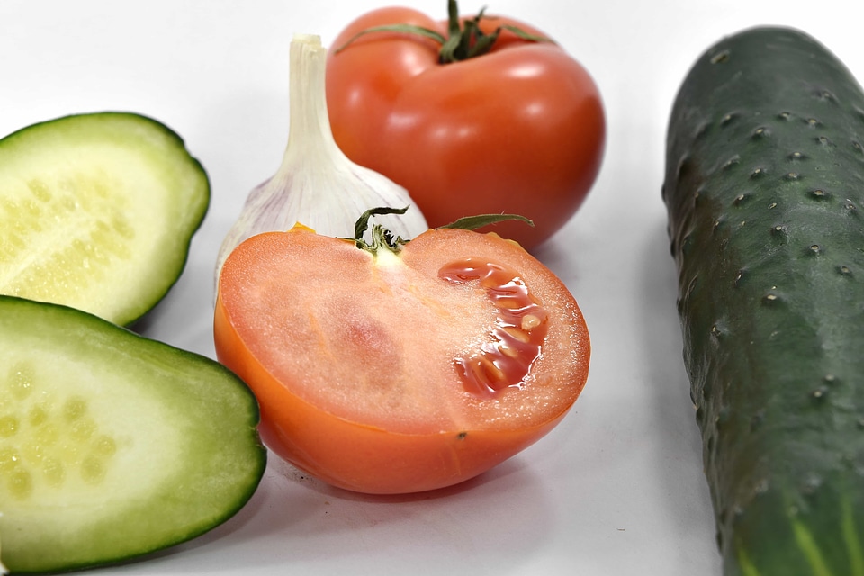Cross Section cucumber seed