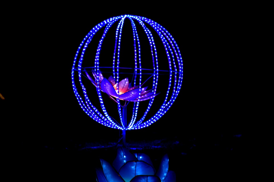 Blue darkness electric