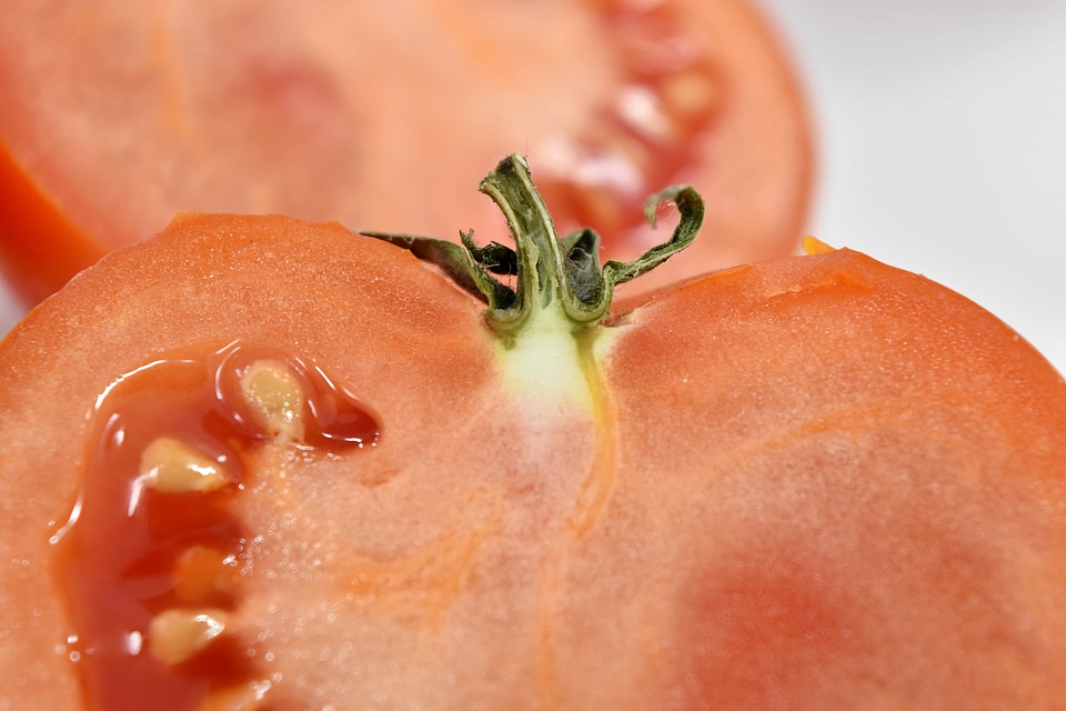 Close-Up cross section seed
