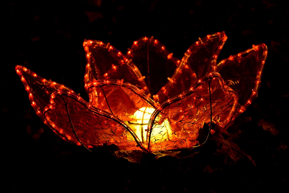 Artwork lamp light
