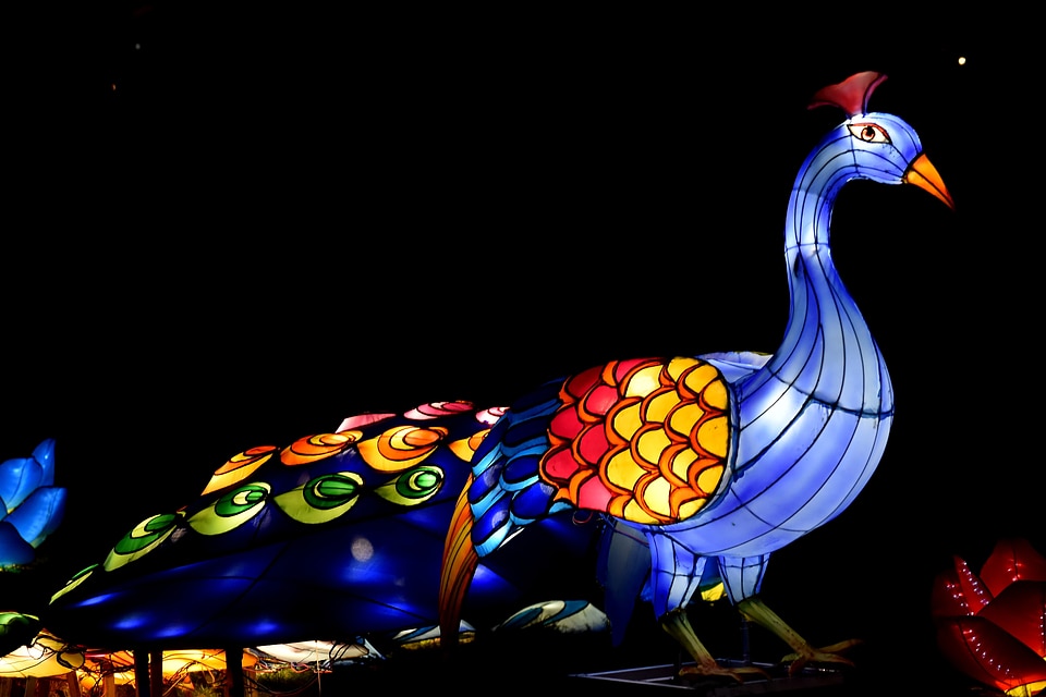 Artistic artwork bird