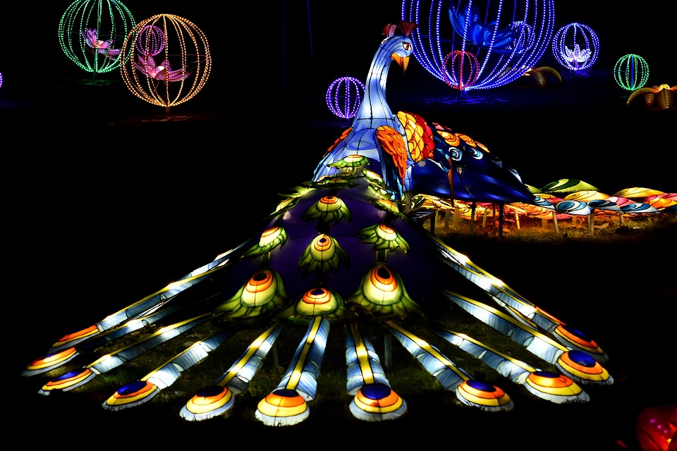 Artwork colorful fantasy