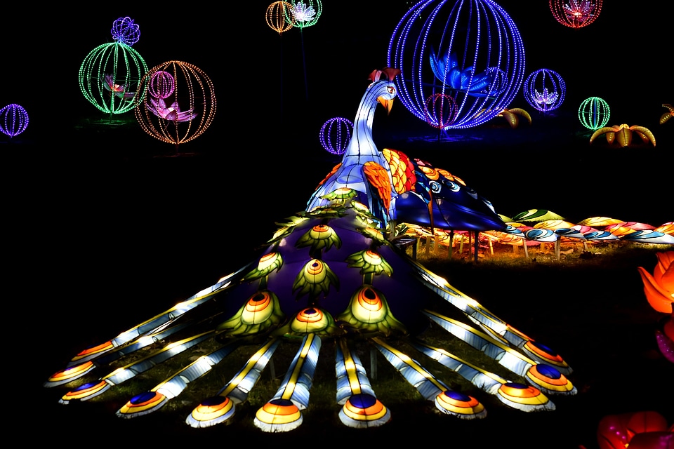 Artwork colorful creativity