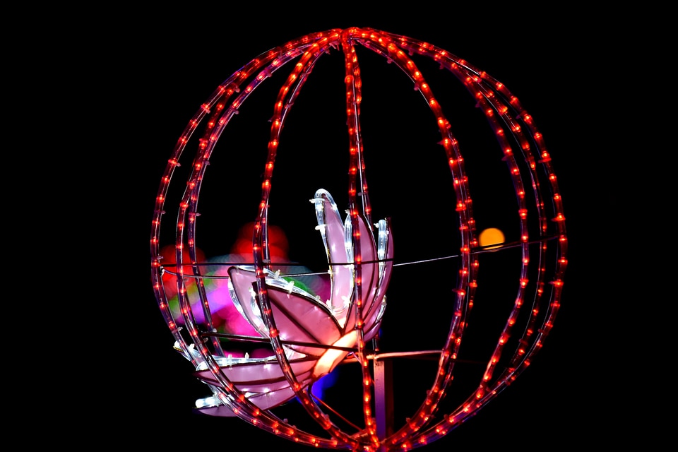 Flower illumination lamb
