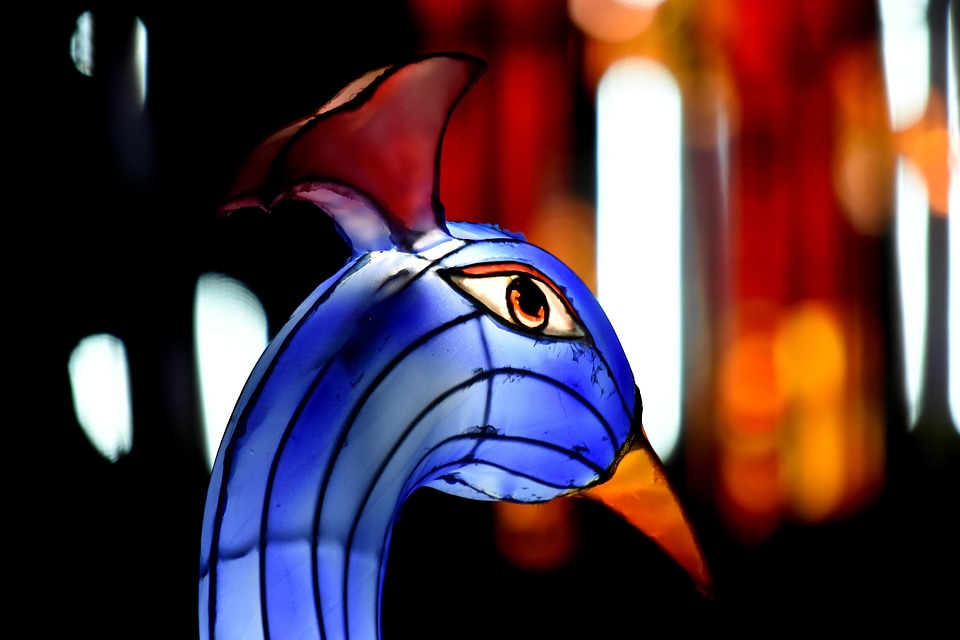 Artwork eye head