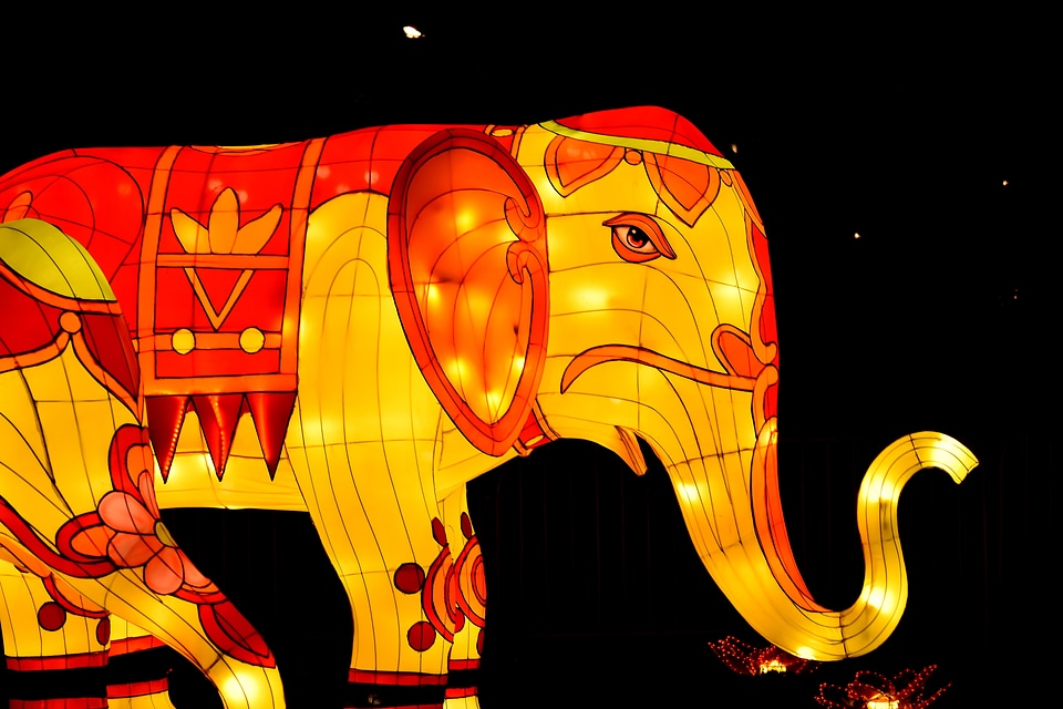 Artwork beautiful elephant