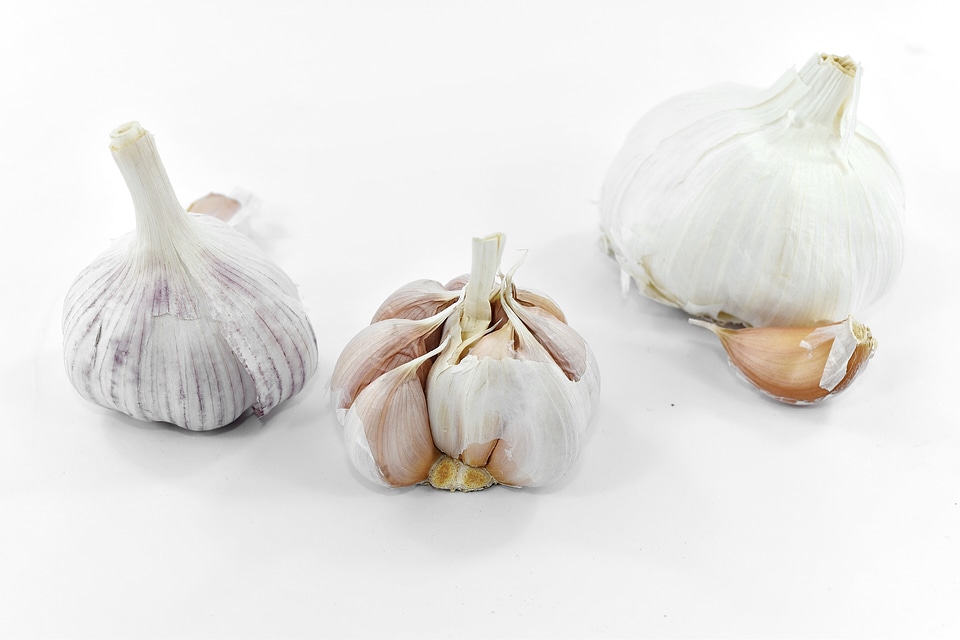 Aroma details garlic
