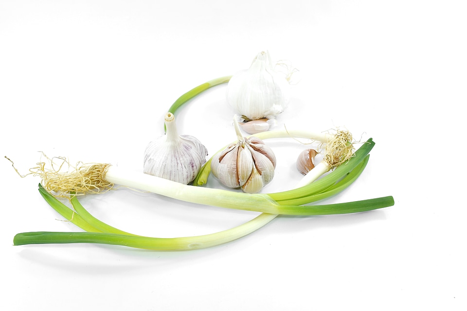 Garlic green leaves organic
