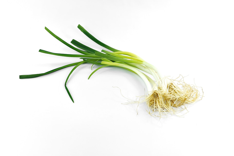 Antibacterial antioxidant aroma