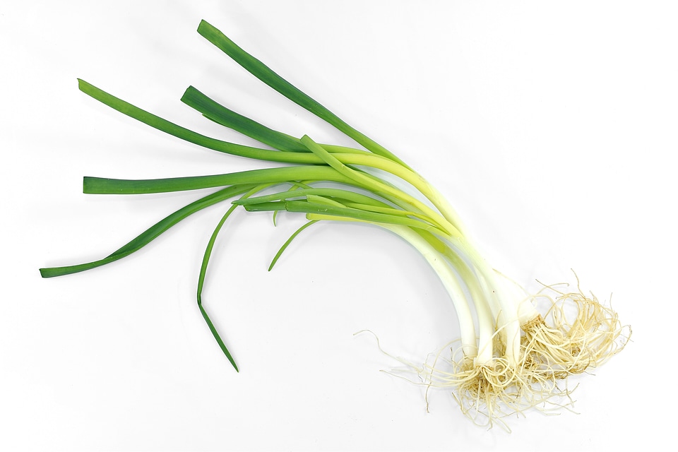 Diet dietary green leaves