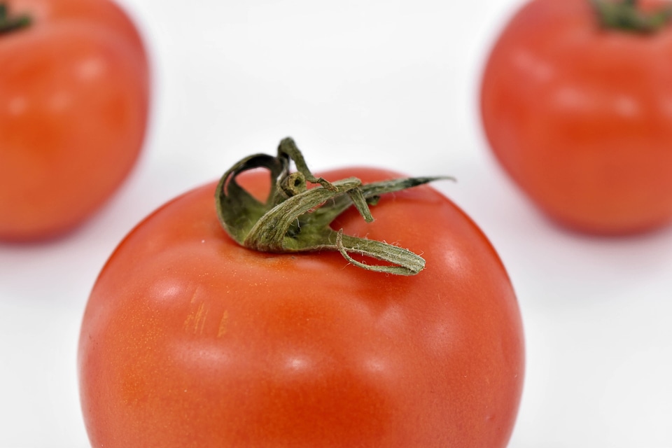 Antioxidant appetite aroma