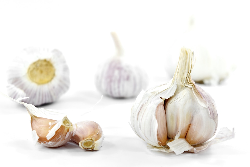 Aromatic carbohydrate close-up