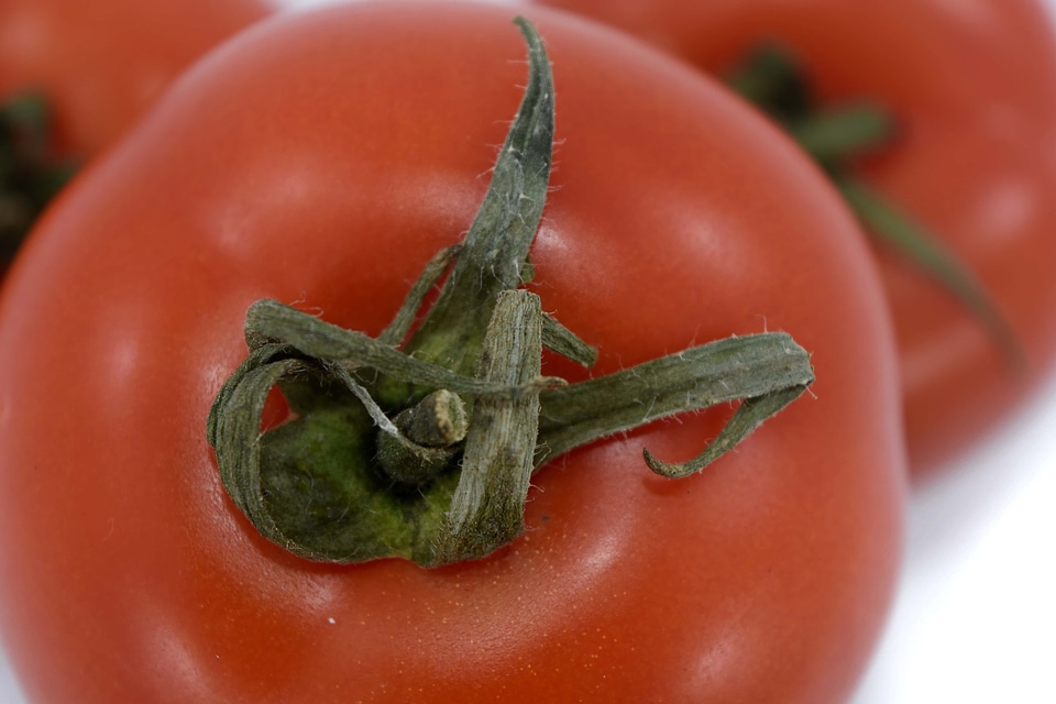Agriculture aroma diet