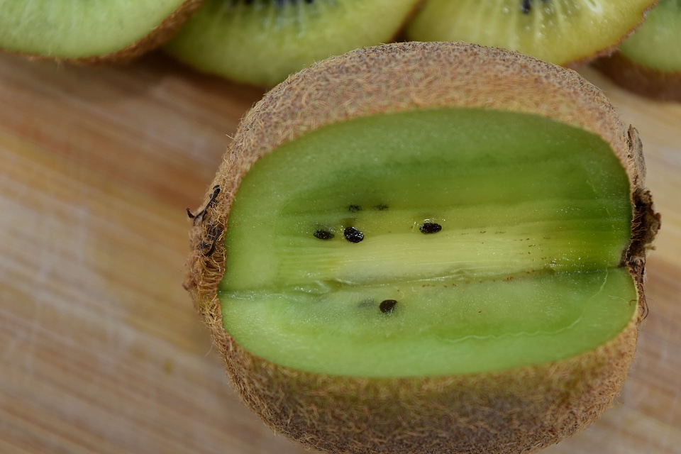 Antibacterial antioxidant bitter