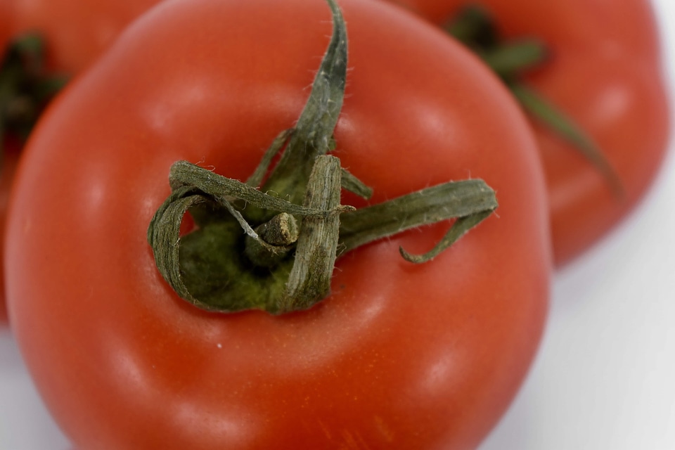 Fresh vegetable tomato