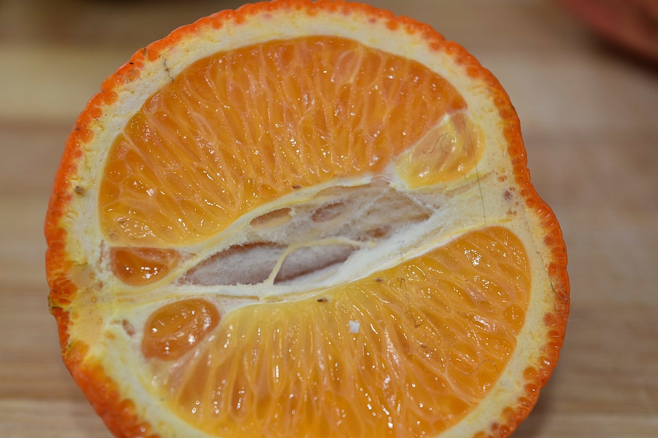 Citrus delicious fresh
